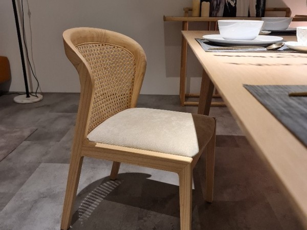 furnishing your home with Peacock Rattan Chair